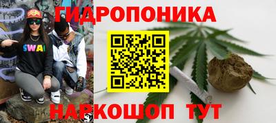 гашик Гай