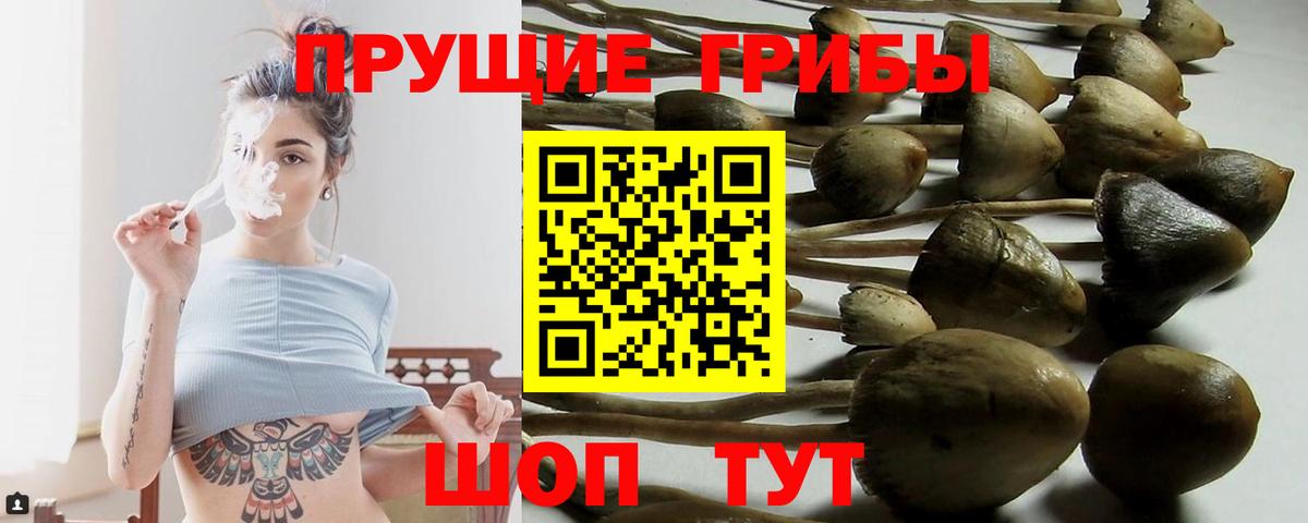 Канабис  ГАШИШ  Домодедово  MDMA  Меф   Вход с VPN 